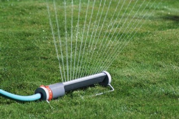 Lawn care watering tips